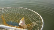 IMG_2420.jpg