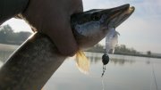 IMG_2422.jpg