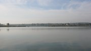 IMG_2423.jpg