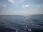 CAM00440.jpg