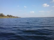 CAM00443.jpg