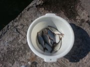 20141005_130508.jpg