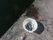 20141005_130521.jpg