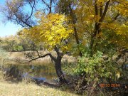 DSC02814.JPG