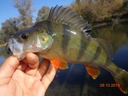 DSC02810.JPG