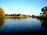 DSC00776.JPG