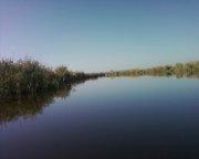 Photo-0004.jpg