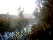 DSC00793.JPG