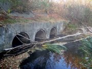 DSC00794.JPG