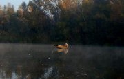 DSC00795.JPG