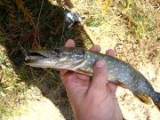 DSC00796.JPG