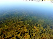 DSC00802.JPG