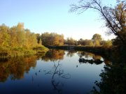 DSC00805.JPG