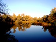 DSC00806.JPG