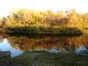 DSC00808.JPG