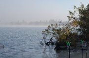 DSC_5565.JPG