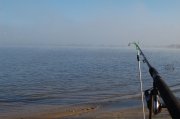 DSC_5571.JPG