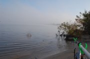 DSC_5530.JPG