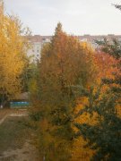 PA120109.JPG