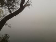 20141011_072743.jpg