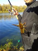 20141011_140441.jpg