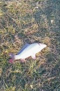 IMG_20141009_173918-1.jpg
