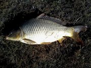 IMG_20141013_125603.jpg