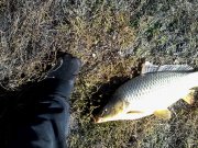 IMG_20141013_125735.jpg