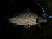 IMG_20141013_183427.jpg