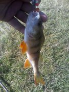 IMG_20141010_122012.jpg