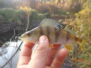 DSC02840.JPG