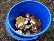 IMG_0004.JPG