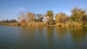 WP_20141019_13_46_47_Pro.jpg