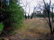 IMG_0006.JPG