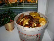 IMG_0009.JPG
