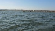 IMG_2443.jpg
