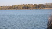 IMG_2444.jpg