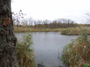SAM_0209.JPG