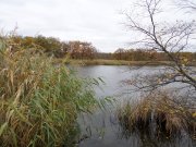 SAM_0212.JPG