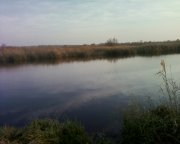 Photo-0002.jpg