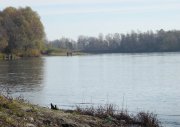 DSCN0759.jpg