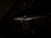 IMG_20141027_185158.jpg