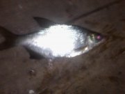 IMG_20141027_200244.jpg