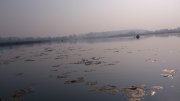 DSC_7435.jpg