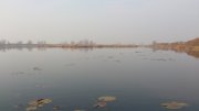 DSC_7436.jpg