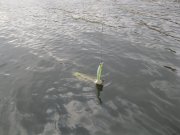 IMG_1630.JPG