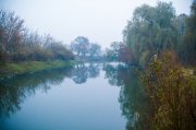DSC_0212-18.jpg