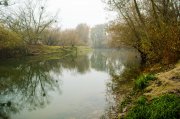 DSC_0211-17.jpg