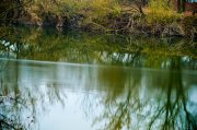 DSC_0207-16.jpg