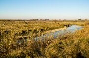 DSC_0175-1.jpg